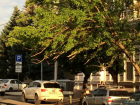 Автомобилисты Краснодара «калечат» свои машины из-за «бездействия» городских служб