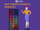 В «НЭСК» напомнили, как можно быстро проверить свою задолженность