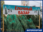 Ели, пихты и сосны заполонили улицы Краснодара: сколько стоят новогодние деревья 
