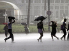 МЧС передает штормовое предупреждение на ближайшие сутки