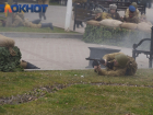 Выстрелы прогремят в Краснодаре в честь Дня освобождения города