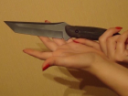 В Усть-Лабинске преступница пыталась зарезать мать кухонным ножом