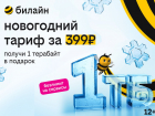 1 терабайт для всех: билайн дарит возможность забыть о трафике на целый год