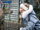 Женщины бесплатно посмотрят на животных в Краснодарском крае