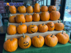Запретившая Хэллоуин мэрия Краснодара рекламирует тыквы на ярмарках выходного дня