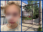 Во дворе школы в Краснодаре бездомная собака разорвала лицо 8-летней девочке 