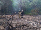 Доброволец пожаловался на беспомощность спасателей при пожаре на Большом острове в Краснодаре