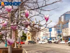 Куда сходить в Краснодаре 1 и 2 апреля: афиша мероприятий
