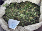 Житель Кубани прятал 4,5 кг марихуаны под мешками с мусором