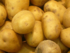 Картофельный кризис наступает в Краснодарском крае