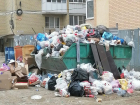 «Крысы под ногами бегают»: Музыкальный микрорайон Краснодара утопает в мусоре