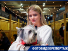 «Мы поняли, что она наша»: в Краснодаре состоялся фестиваль-пристройство бездомных животных