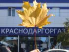 «Краснодаргоргаз» предоставляет скидку 15% на техническое обслуживание в 2024