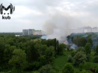Появилось видео крупного пожара в лесопарке Краснодара