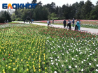 Ботанический сад в Краснодаре временно закроют для посетителей
