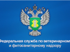 Россельхознадзор Краснодарского края и Республики Адыгея получил нового руководителя