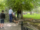 Огромная ветка дерева едва не убила двух человек в Краснодаре