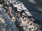«Падают дети и пенсионеры»: в Краснодаре сорвали ремонт дорог в Западном округе