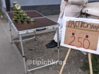 «Цена сомнительная»: за полтора месяца до Нового года на улицах Краснодара начали торговать красной икрой