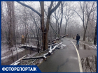 Зима обнажила кладбище погибших деревьев у тропы здоровья в Краснодаре