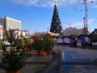 Около 600 новогодних ярмарок и елочных базаров откроют на Кубани 