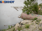 «Это экологическая катастрофа»: в Краснодаре хотят обратиться к правительству из-за загрязнения реки Кубань