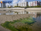 «Никто не хочет брать на себя ответственность»: краснодарец об отказе властей чистить реку Кубань