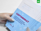 В ТРЦ Краснодара привлекут волонтеров для сопровождения людей без QR-кодов