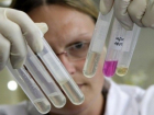 Власти Сочи объявили о количестве больных свиным гриппом