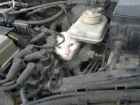 В Краснодаре котенок застрял в двигателе легковушки