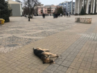 Средь бела дня на глазах у детей травят собак в Краснодарском крае