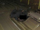 В Новороссийске убило током мужчину, который прыгнул с моста на крышу поезда