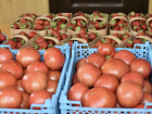 Во время карантина фермерам Кубани помогут реализовать продукцию