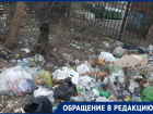  «Это просто ужас», - жители Краснодара устроили настоящую свалку в зеленой зоне 