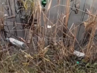 Покровские озера в Краснодаре превратили в свалку мусора