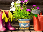 «Блокнот Краснодар» советует: чем заняться осенью садоводам