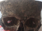 Череп со следами трепанации нашли на территории школы Краснодара