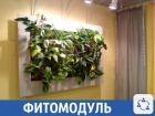 В Краснодаре тяжело прожить без фитомодуля