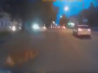 В Краснодаре собака бросилась под колеса мотоцикла