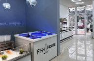 Продавцы-консультанты в «Fish House»*, оплата от 3 т.р/смена - 