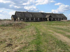 Нерадивых фермеров накажут рублем