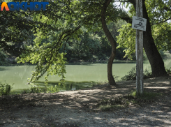 Стали известны подробности гибели четырехлетнего ребенка на озере в Краснодаре