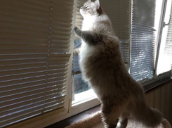 В Краснодарском крае спрогнозировали мокрый снег