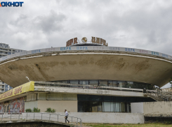 Опасный прецедент: в Краснодаре за кошку предлагают 100 000, в Ростове внаглую воруют цветы, а в Волгограде «поддакивают» Украине 