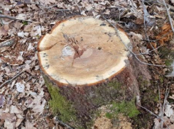 Прокуратура «выбила» 20 миллионов рублей в бюджет Краснодарского края