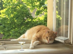 Зима «потеплеет» для жителей Краснодара