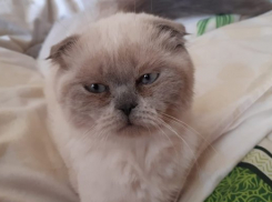  Дождь с грозой ожидается на Кубани 