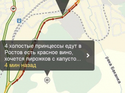 Четыре «холостых принцессы» нашли попутчиков до Ростова благодаря пробке в Новороссийске 