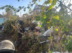 Пашковский микрорайон Краснодара утонул в мусоре