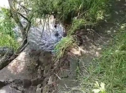 Краснодарец снял видео, как микрорайон уходит под воду